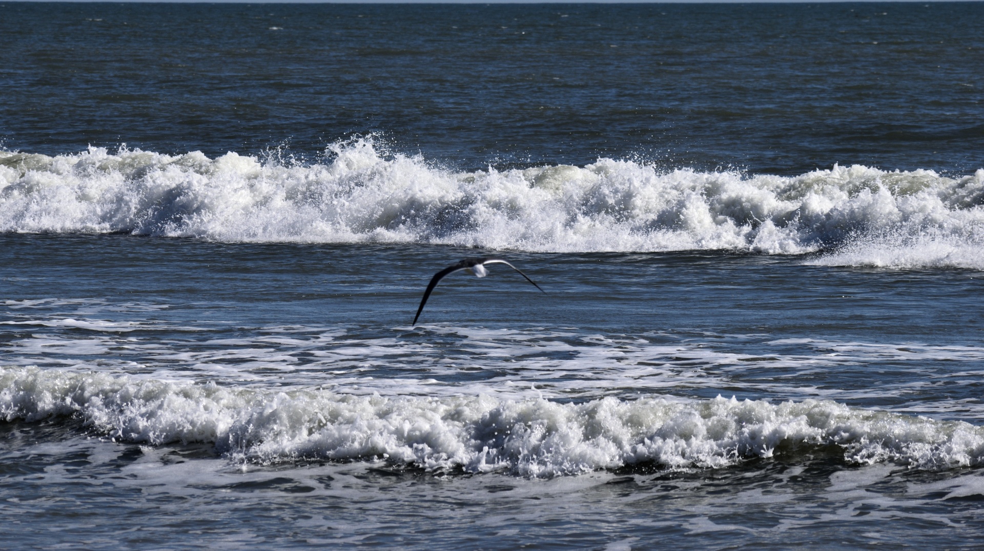 ocean waves ocean saltwater free photo