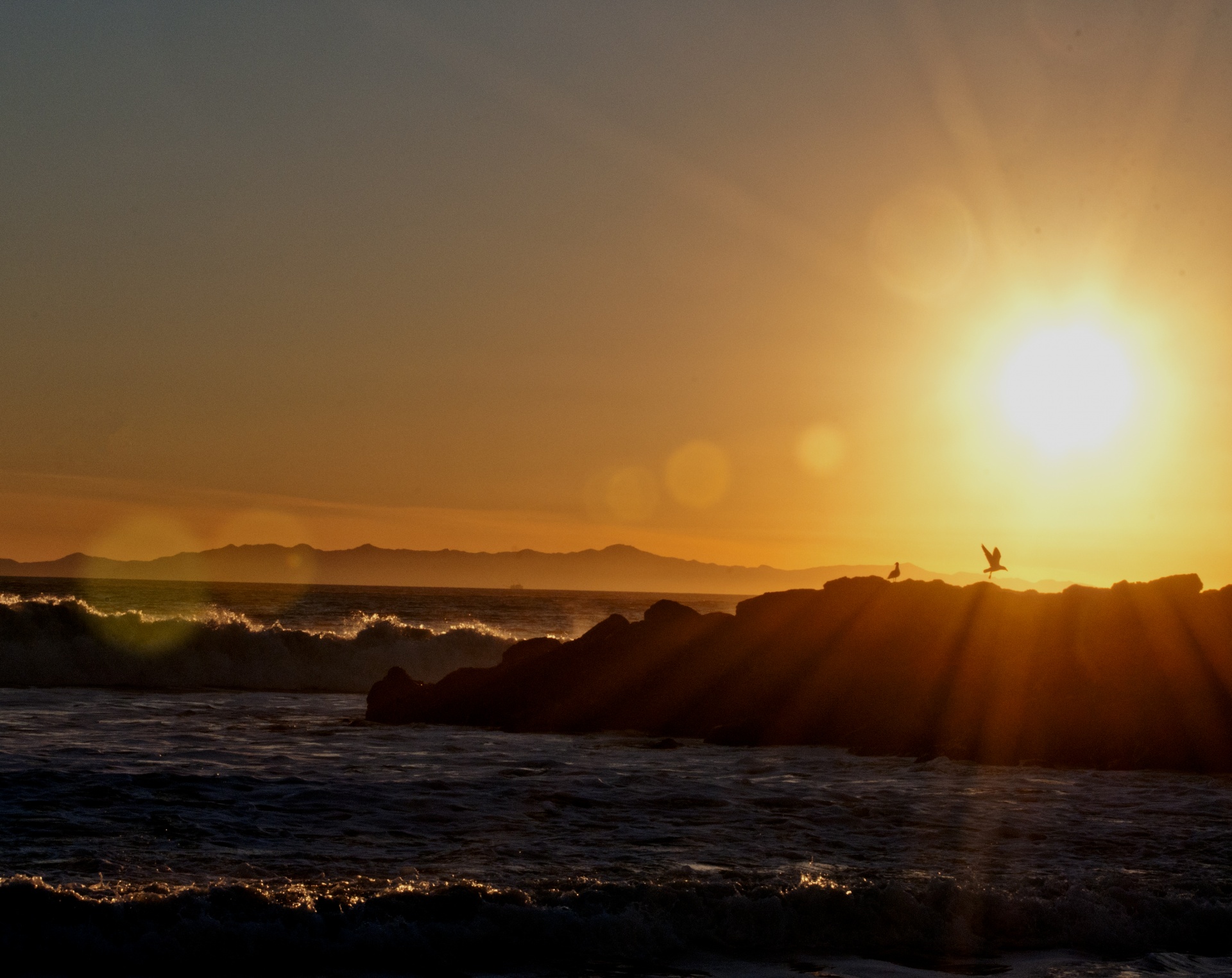 sea beach sunset free photo