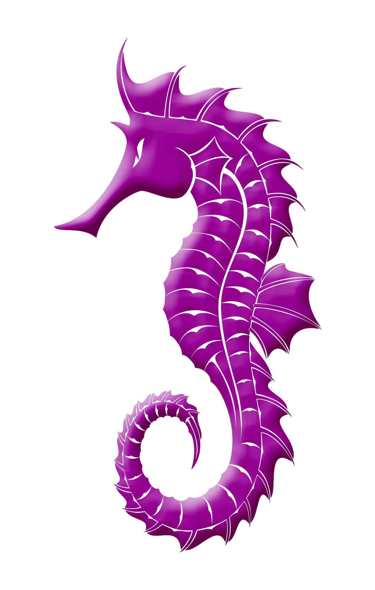 seahorse purple marine life free photo