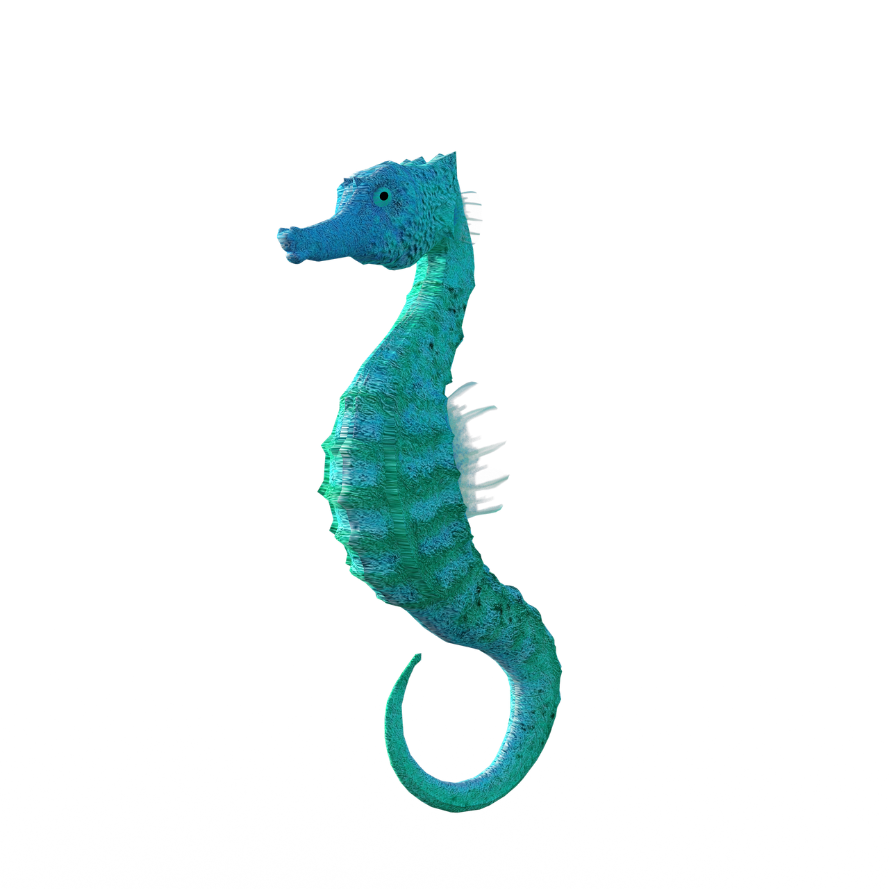 seahorse  animal  meeresbewohner free photo