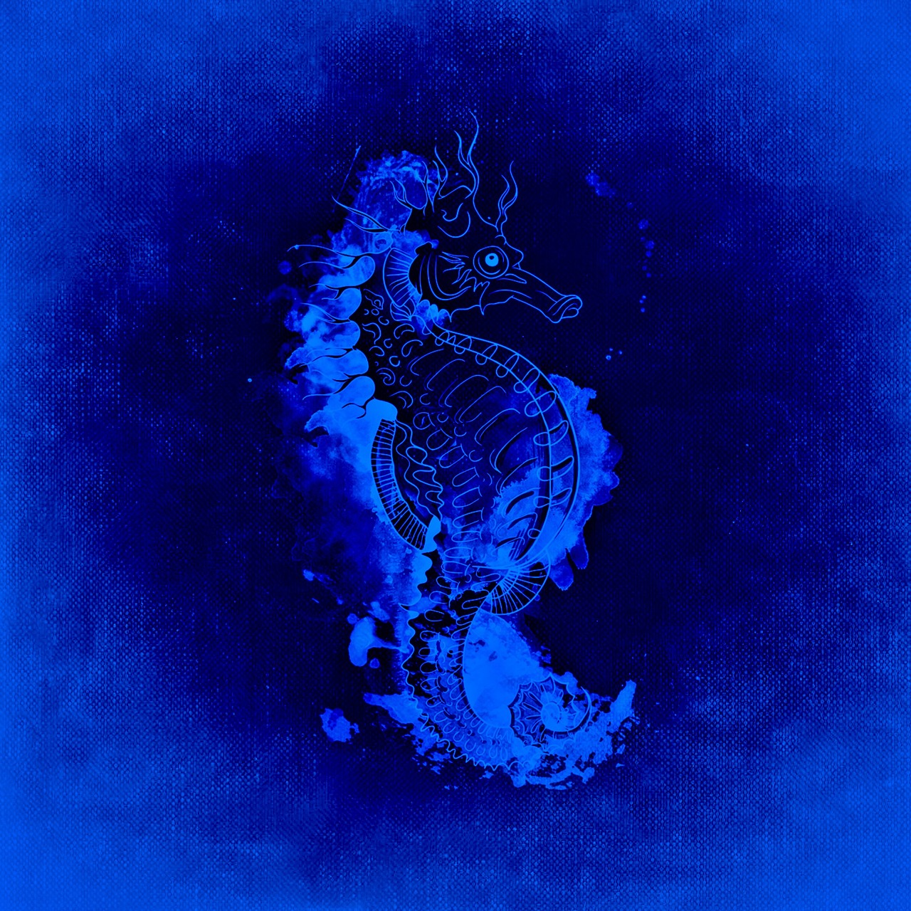 seahorse underwater world sea free photo