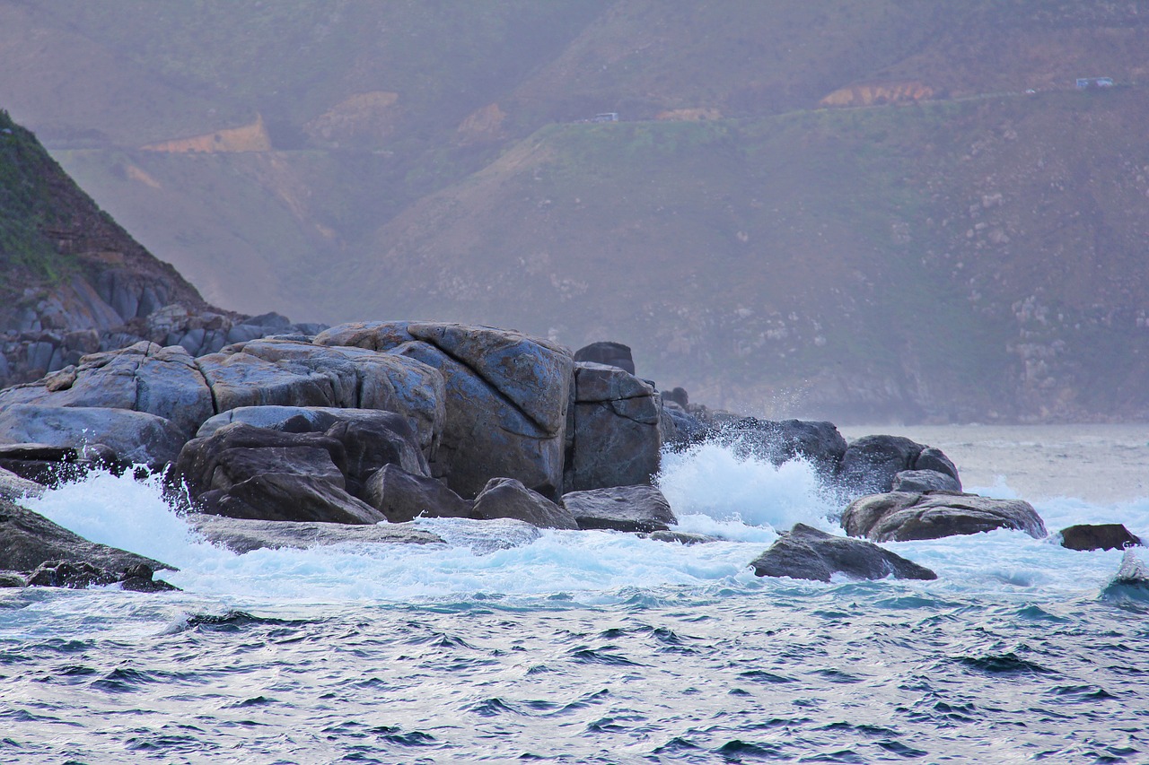 seal island thousands free photo