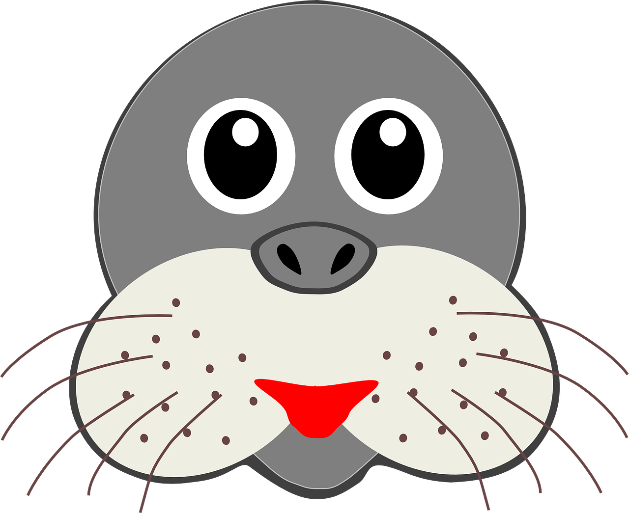 seal head gray free photo