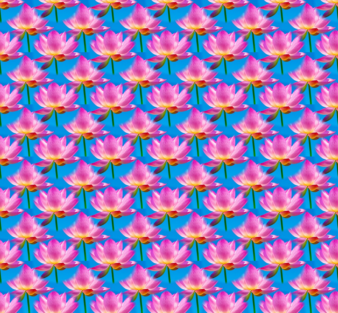 seamless flower pattern free photo