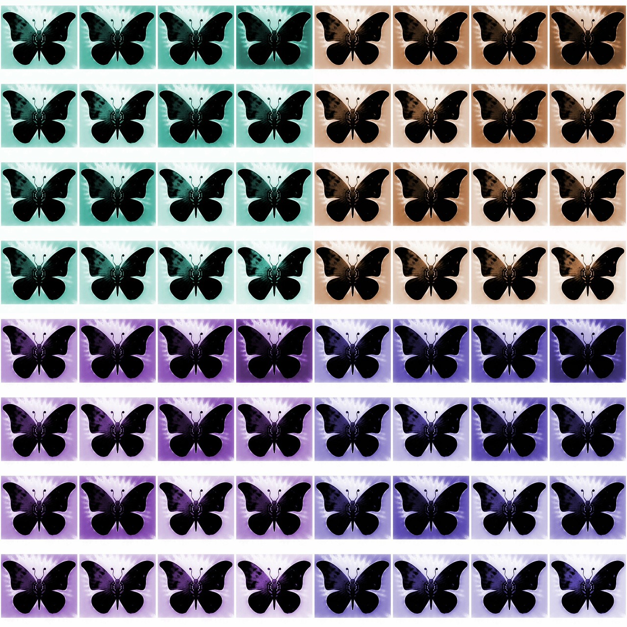 seamless wallpaper butterfly free photo