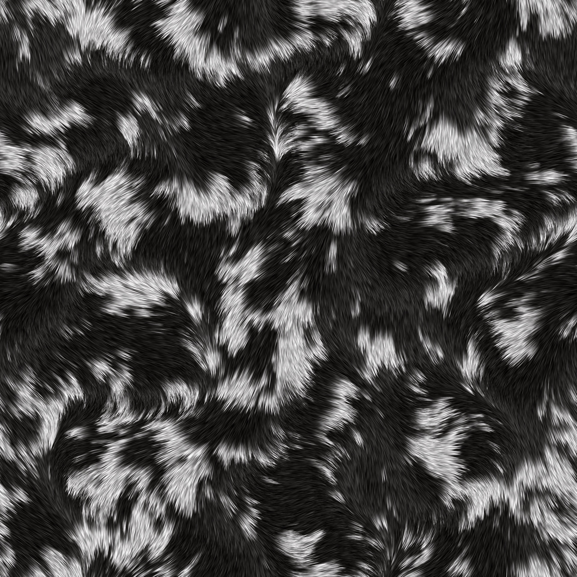 fur animal texture free photo