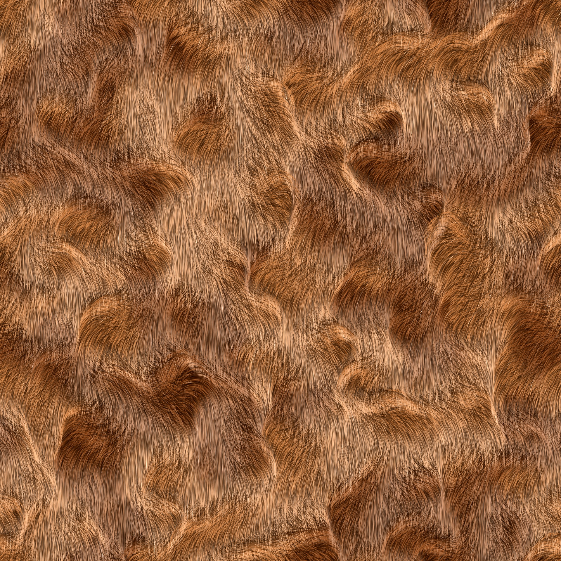 fur animal texture free photo