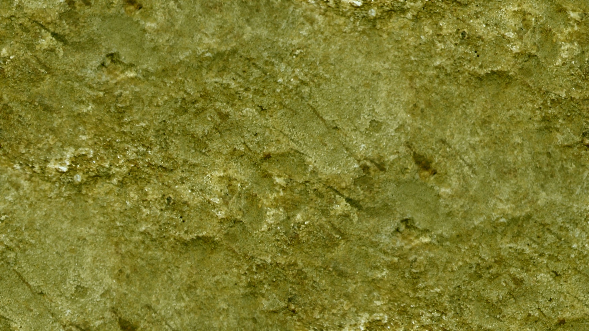 olive green wallpaper free photo