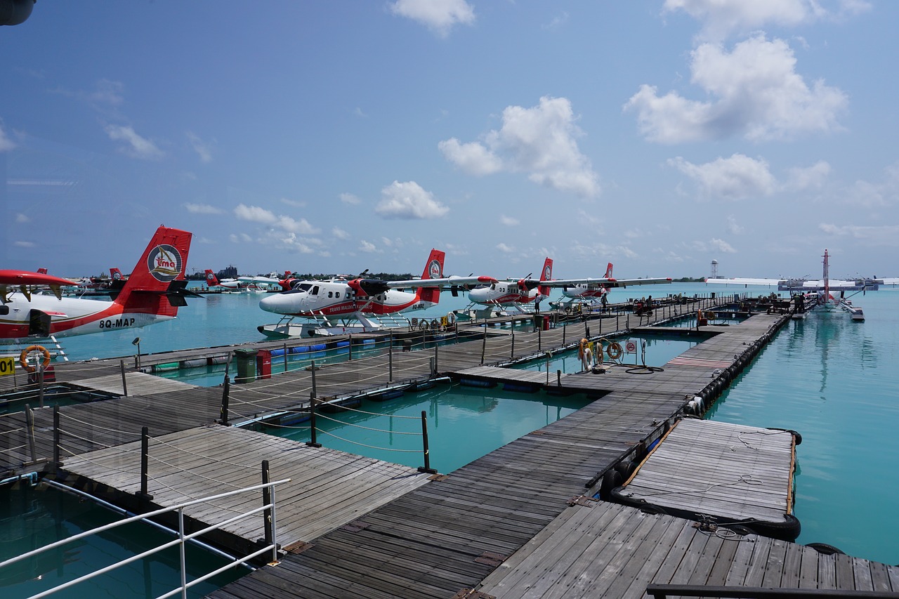 seaplanes like taxis free photo