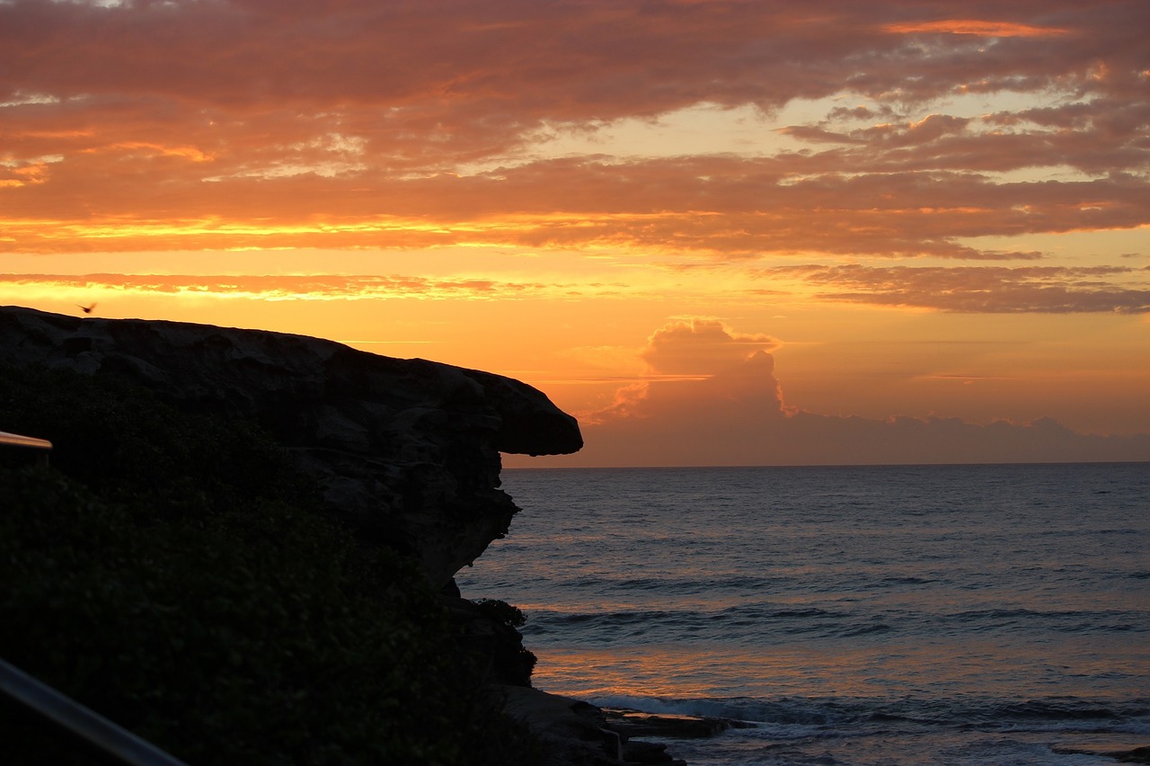 seascape sunrise ocean free photo