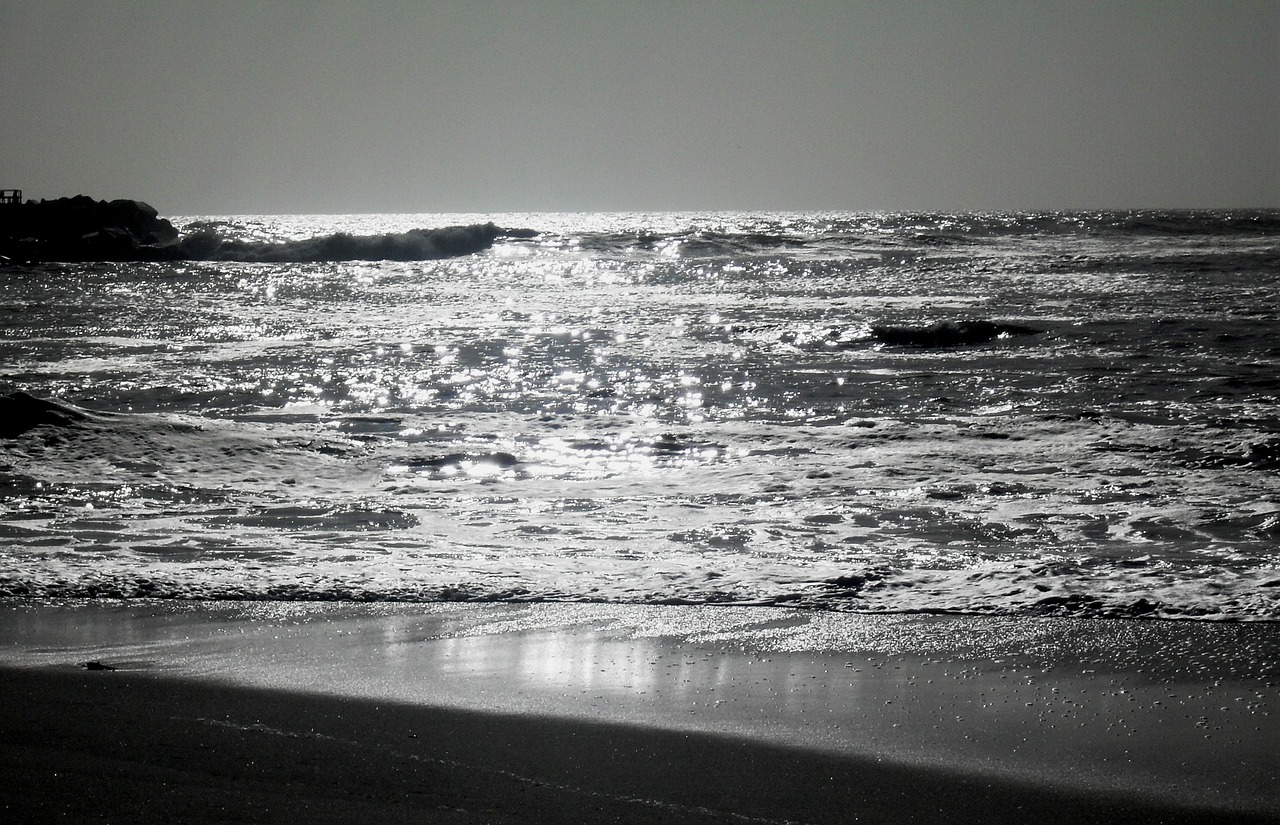 seascape water ripples free photo