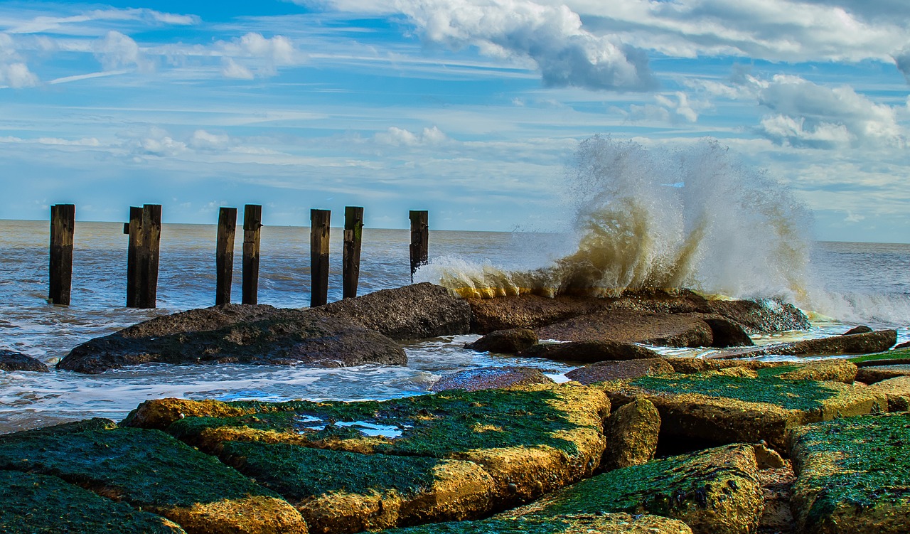 seascape coast shore free photo