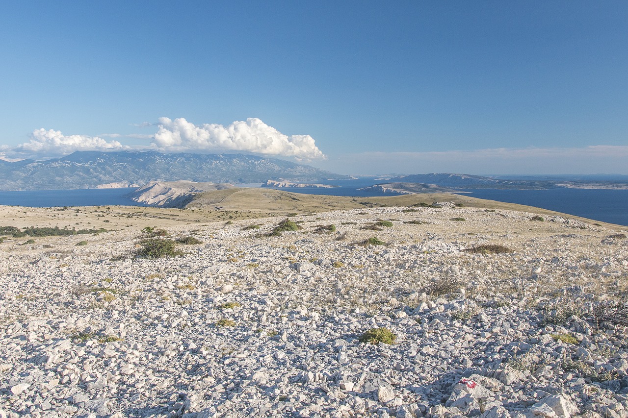 seascape sea wild free photo