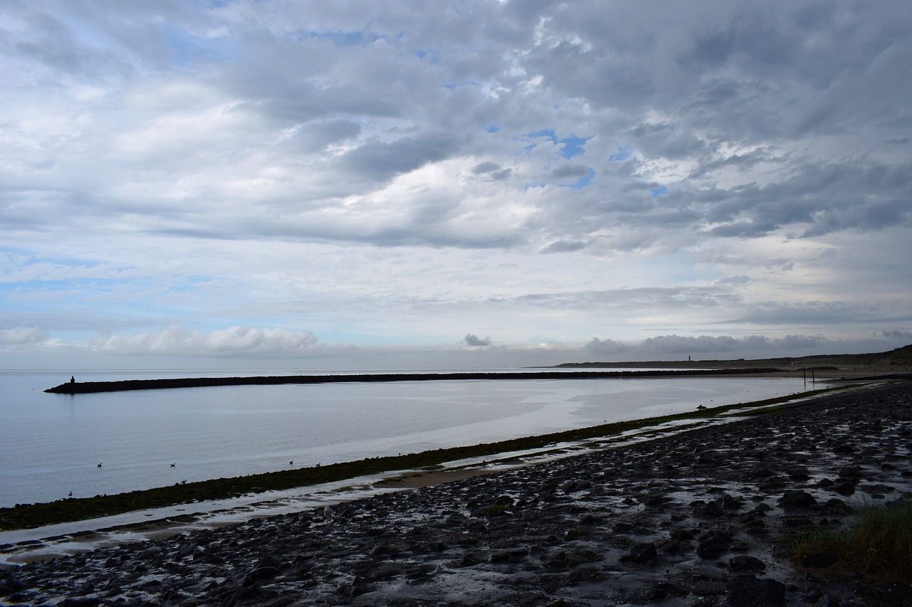 seascape shore horizon free photo