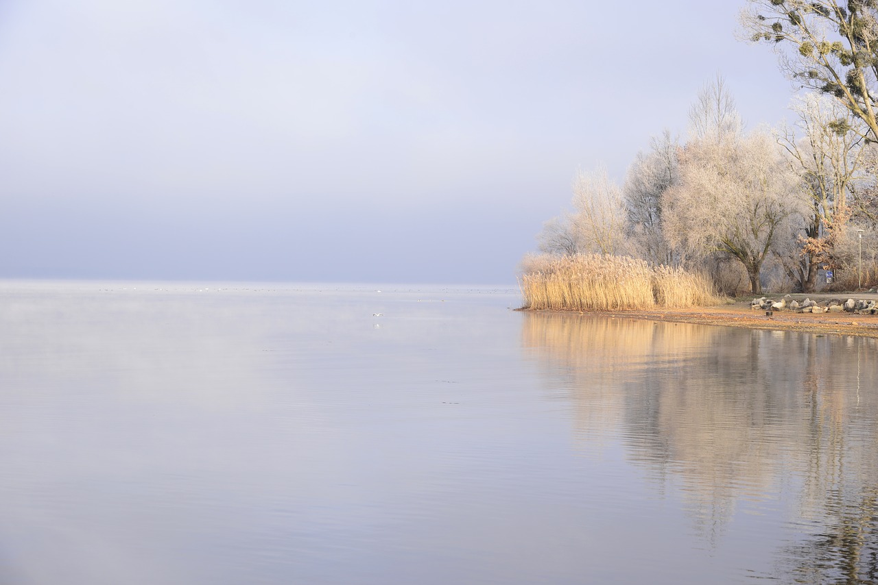 seascape lake nature free photo