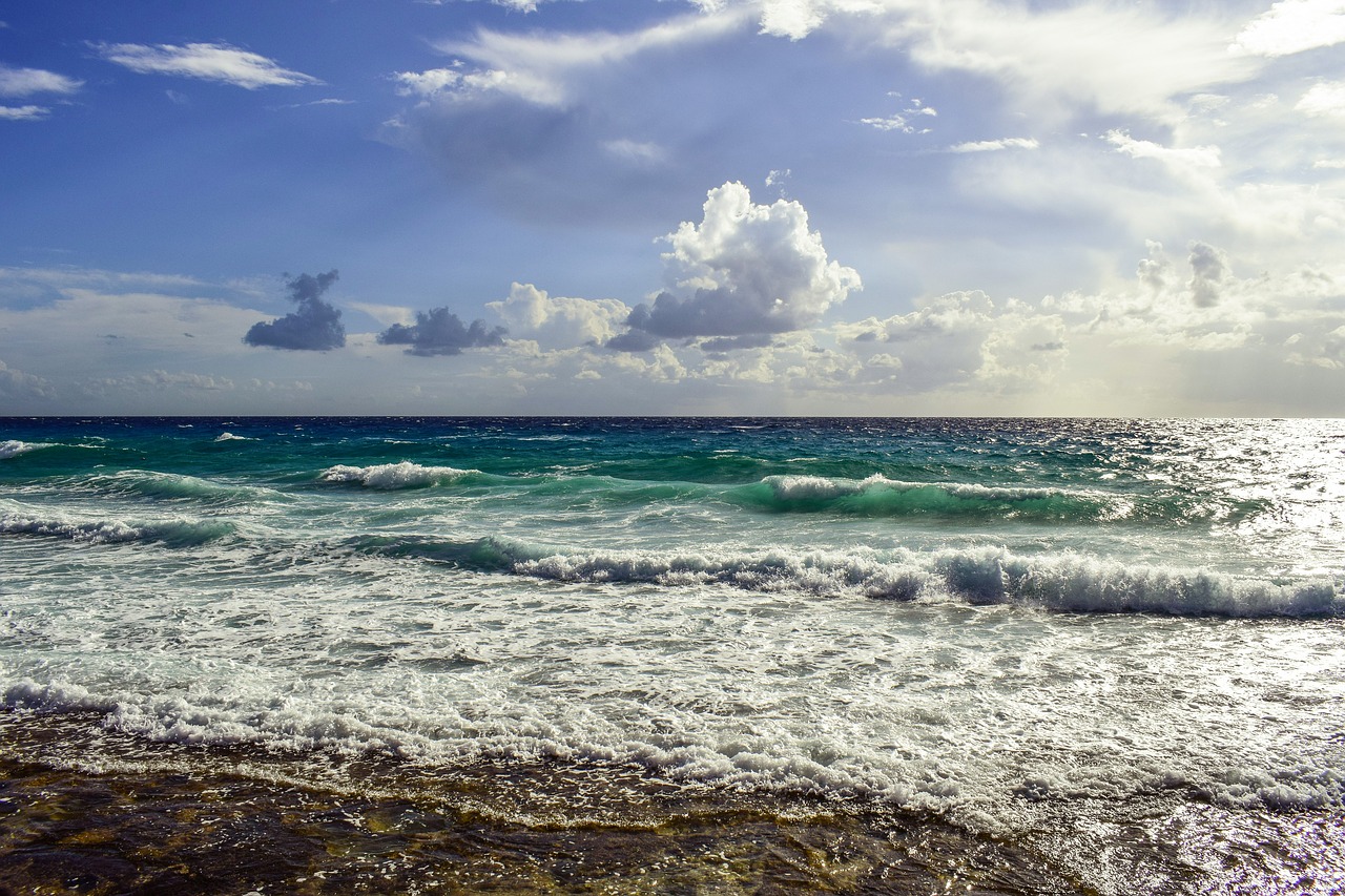 seascape sea waves free photo