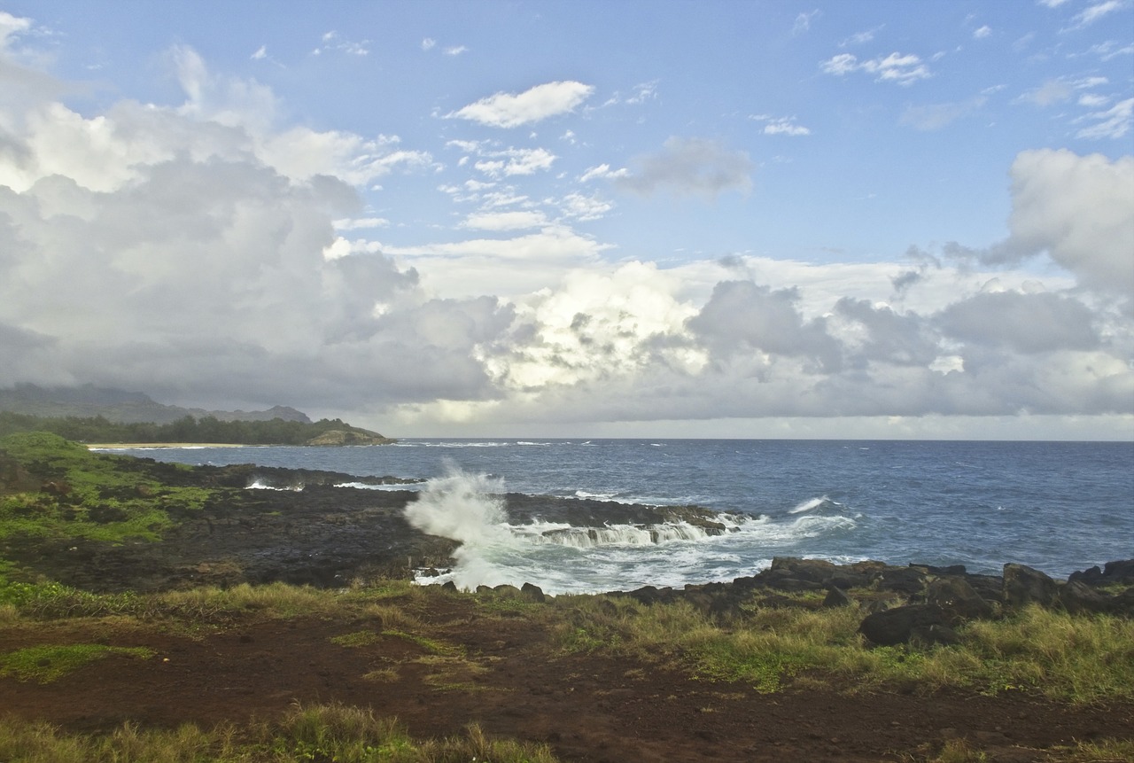 seascape  ocean  coastline free photo