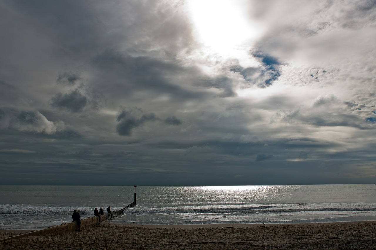 seascape beach sunlight free photo