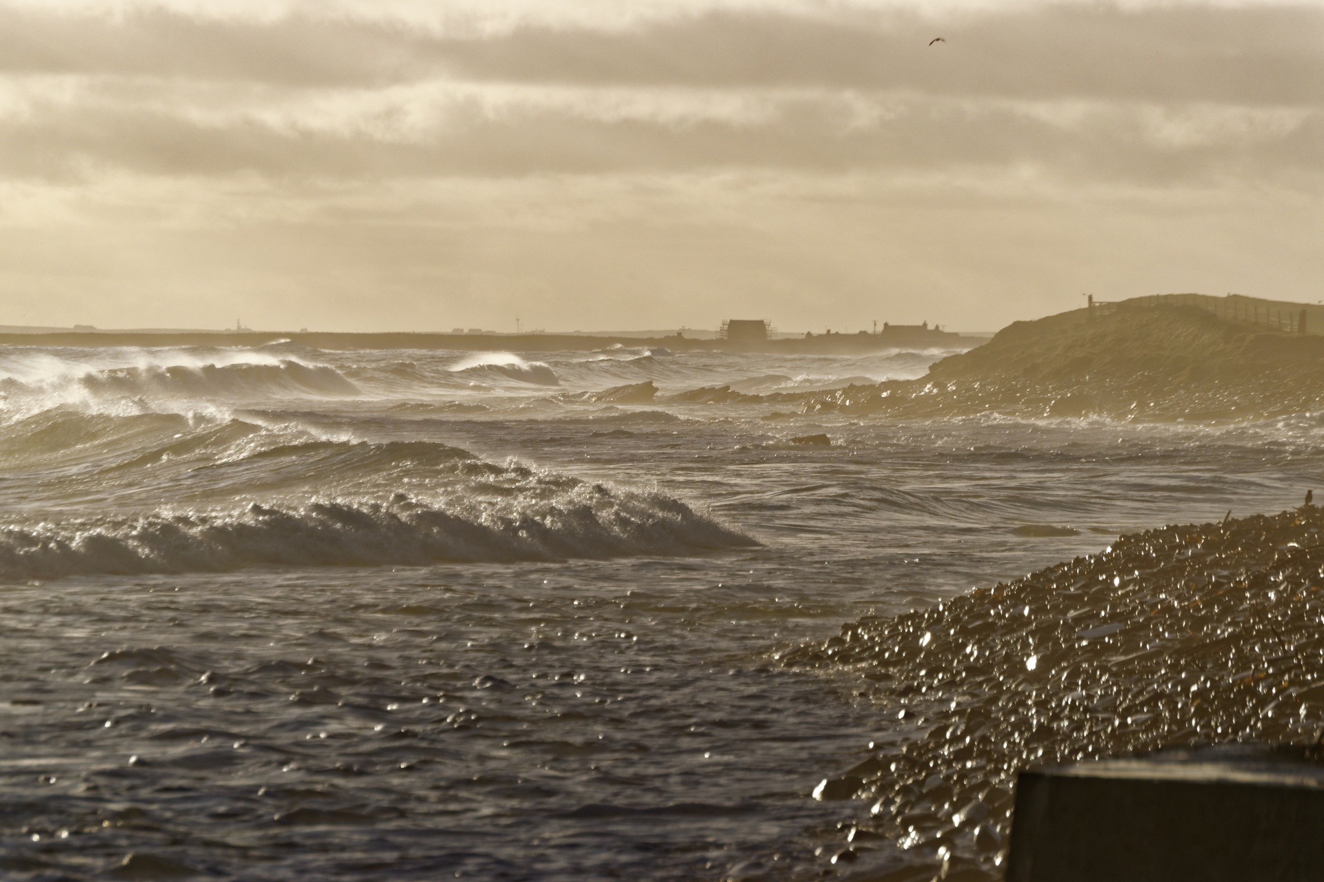 seascape sea waves free photo