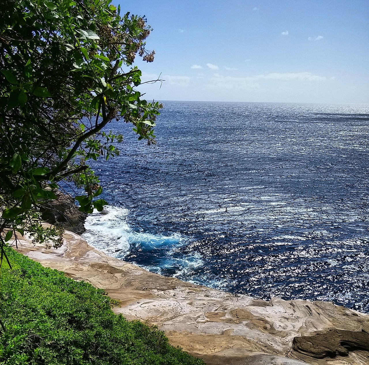 seascape ocean landscape free photo