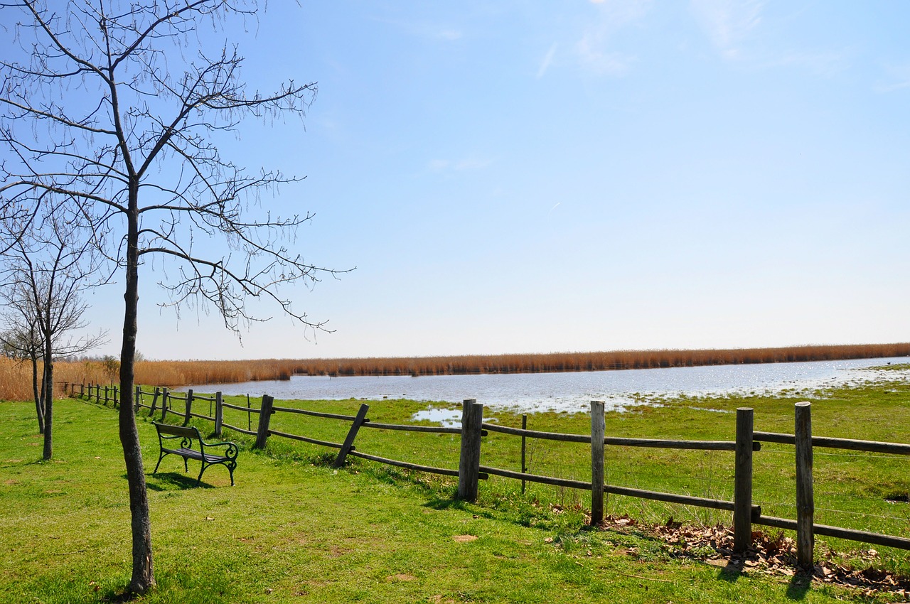 seascape lake neusiedl landscape free photo