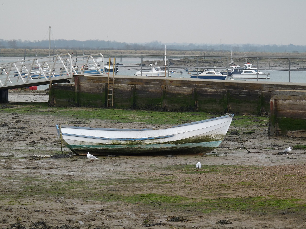 seascape boat mooring free photo