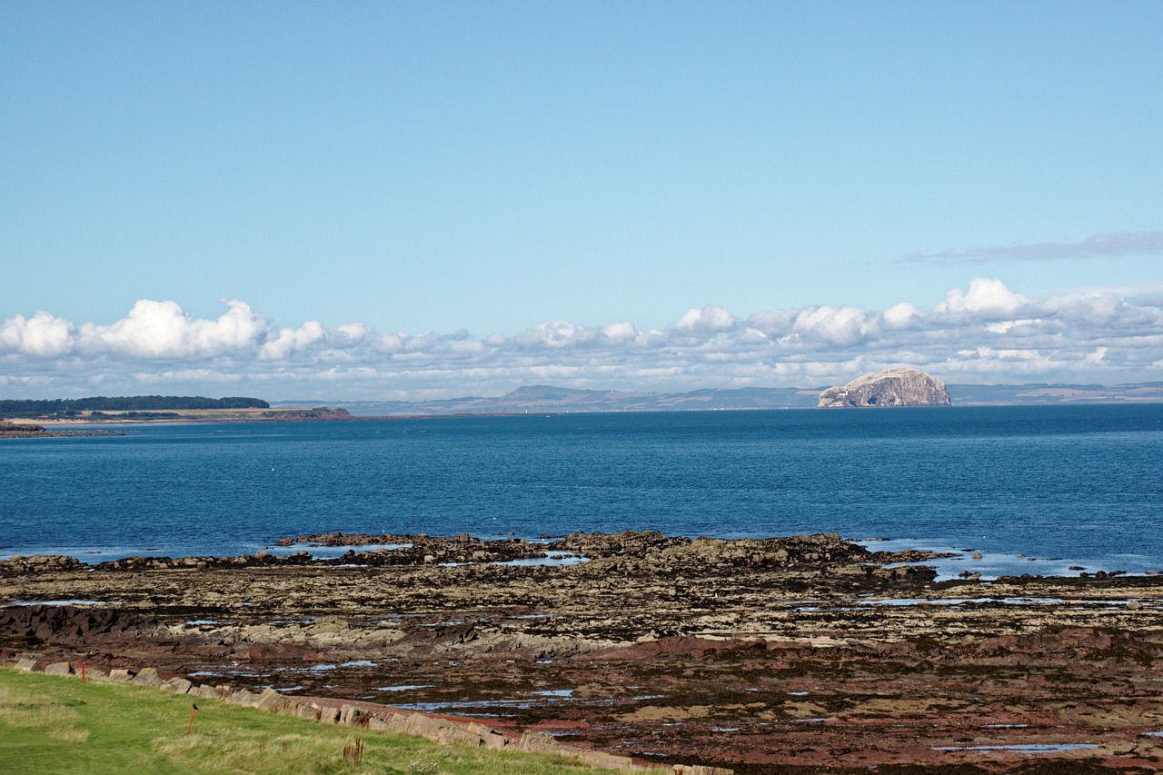 sea bass rock firth of forth free photo