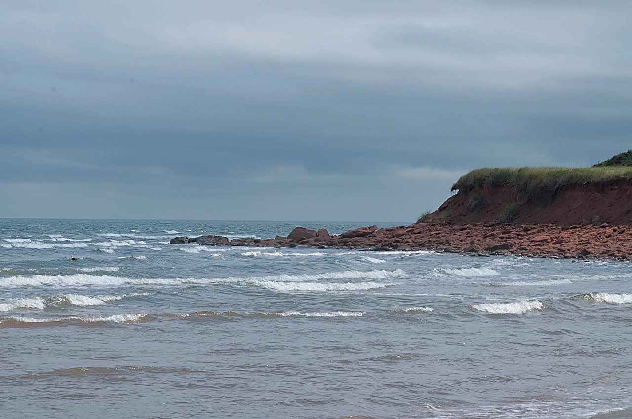 seascape beach cliff free photo