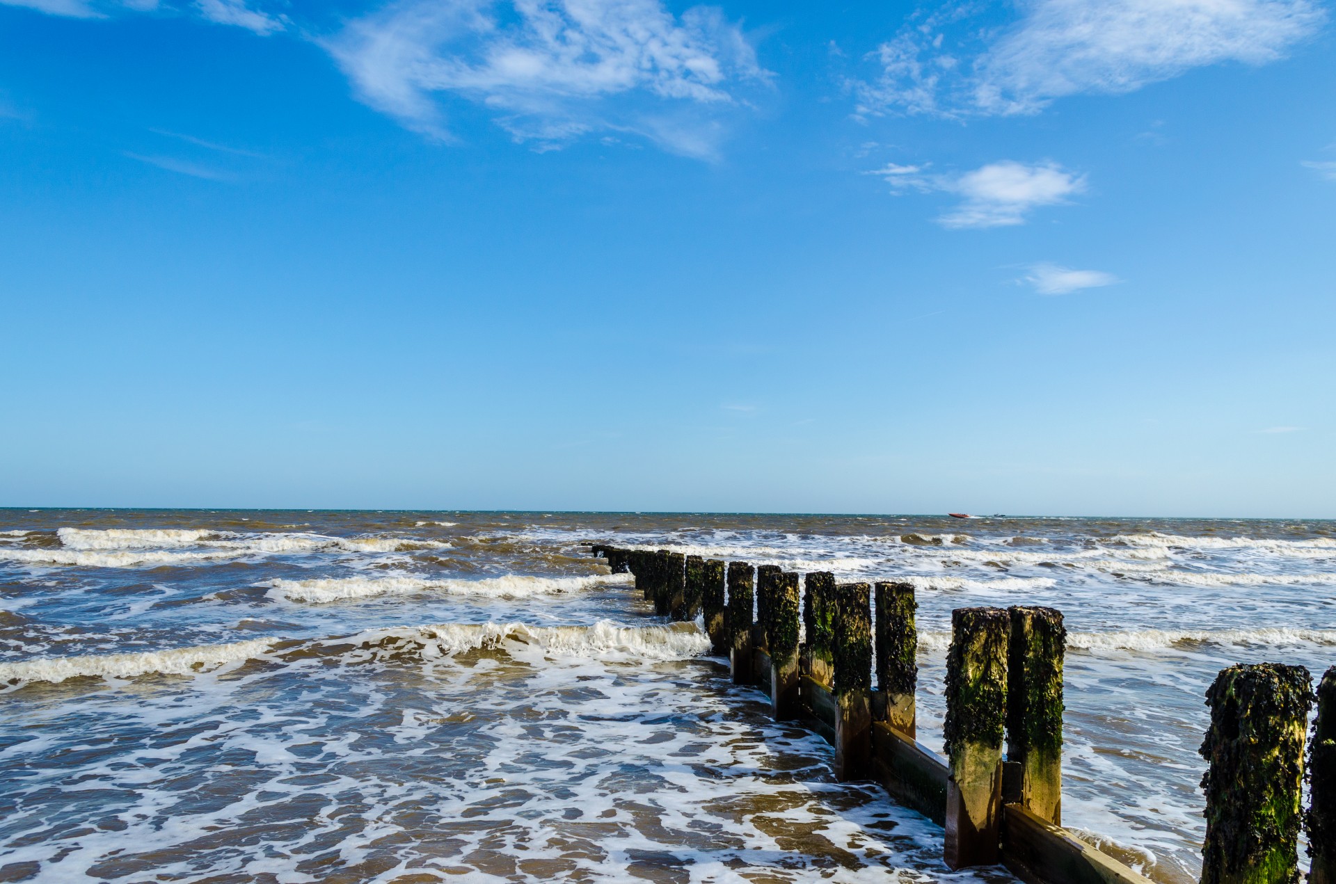 scene ocean horizon free photo