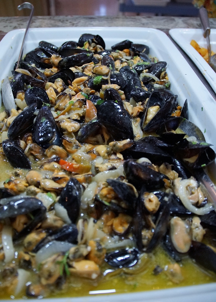 seashell seafood mussels free photo