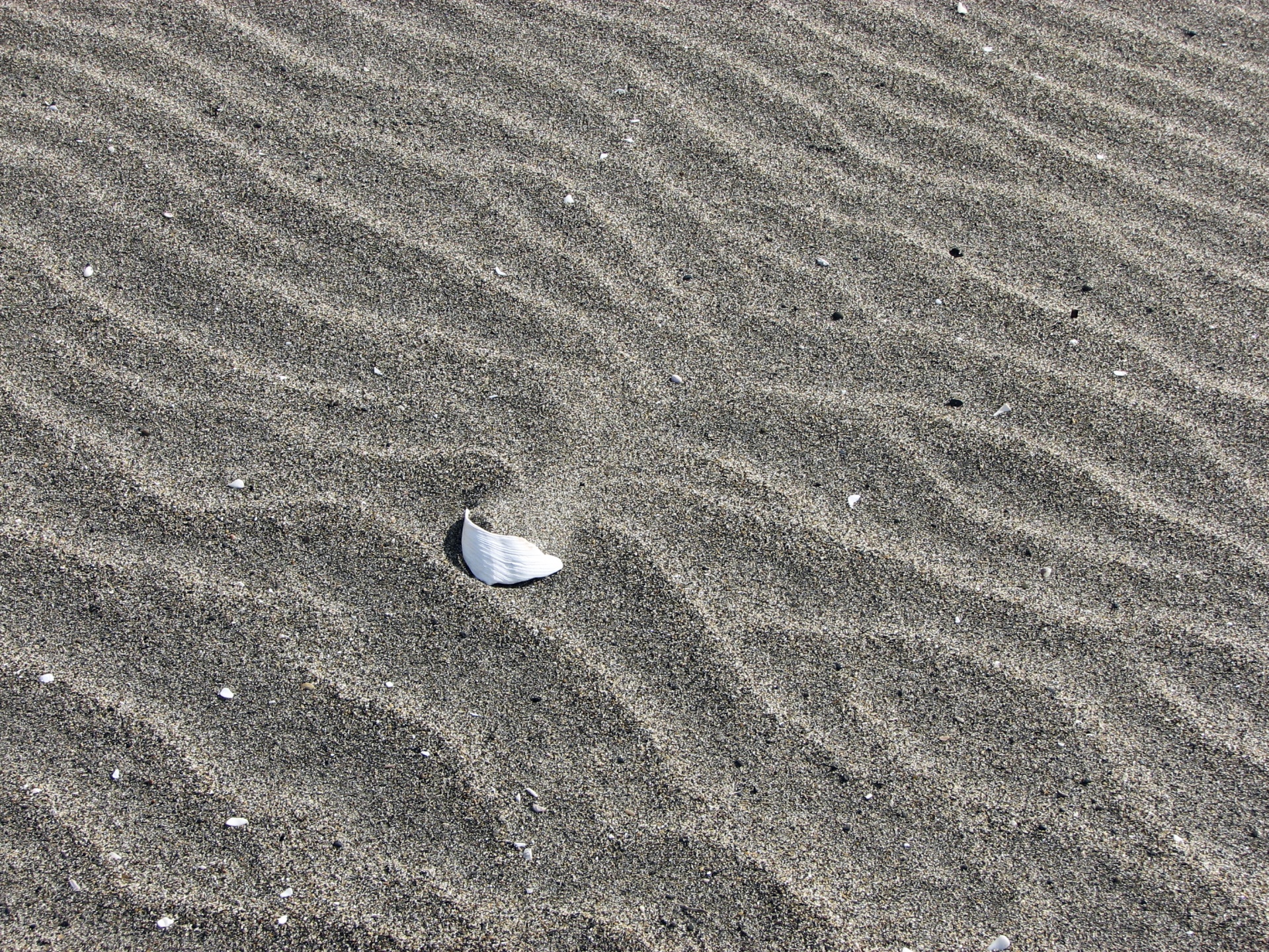 sand ripples wind free photo