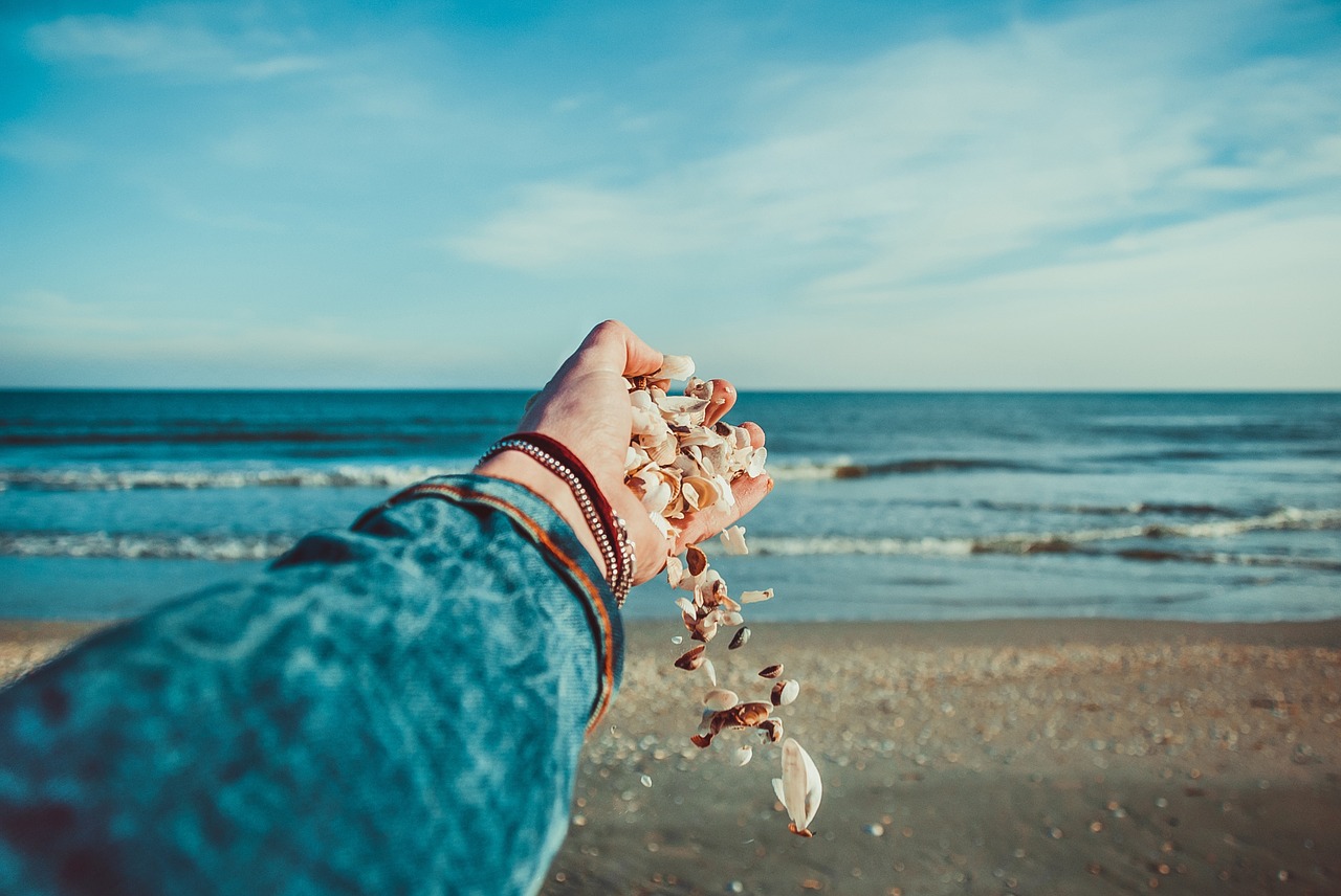 seashells ocean hand free photo