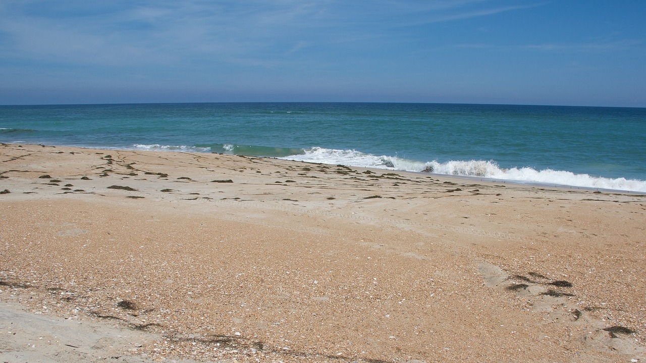 seashore waves beach free photo