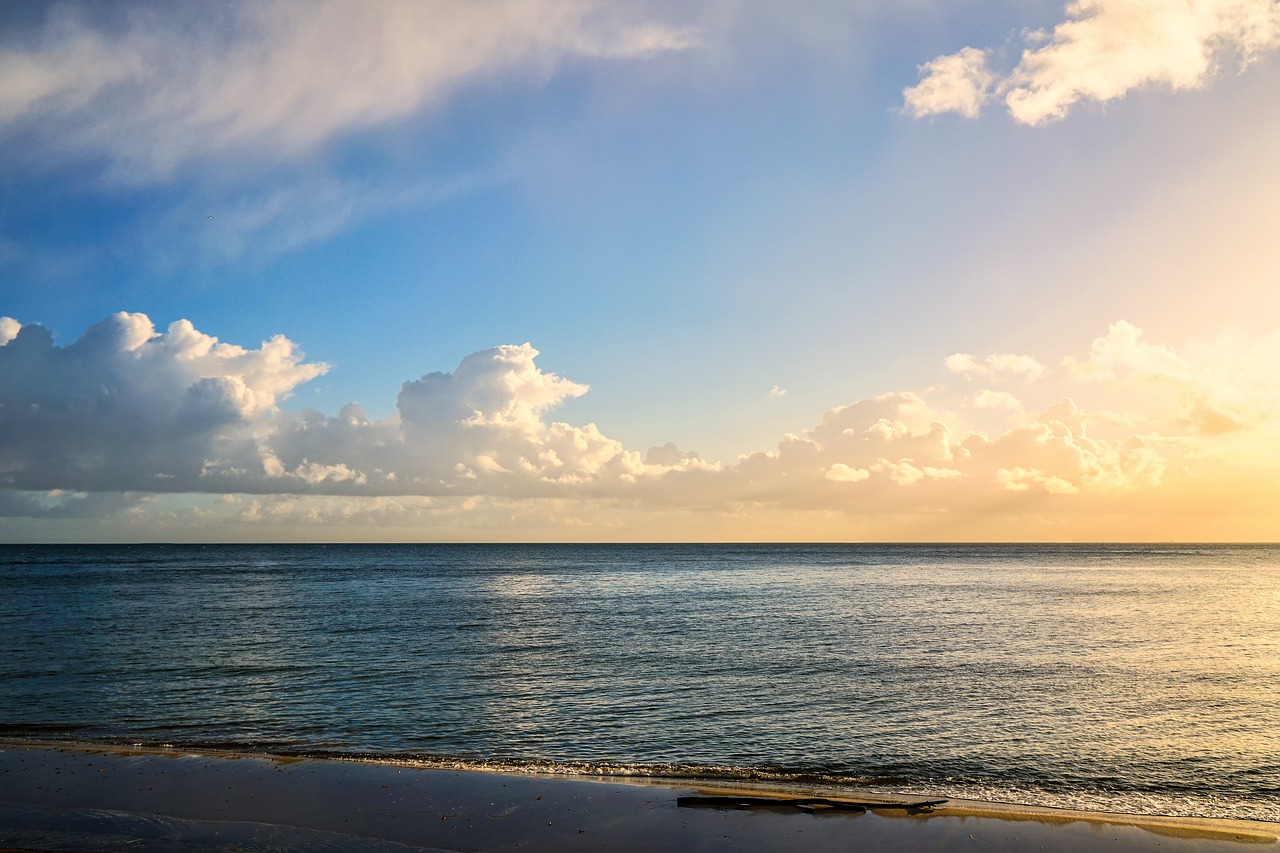 seashore clouds water free photo