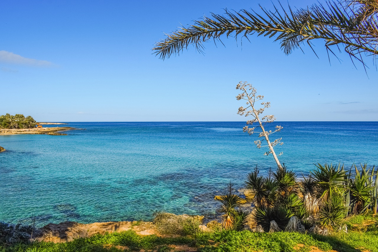 edit-free-photo-of-seashore-beach-shore-landscape-island-needpix