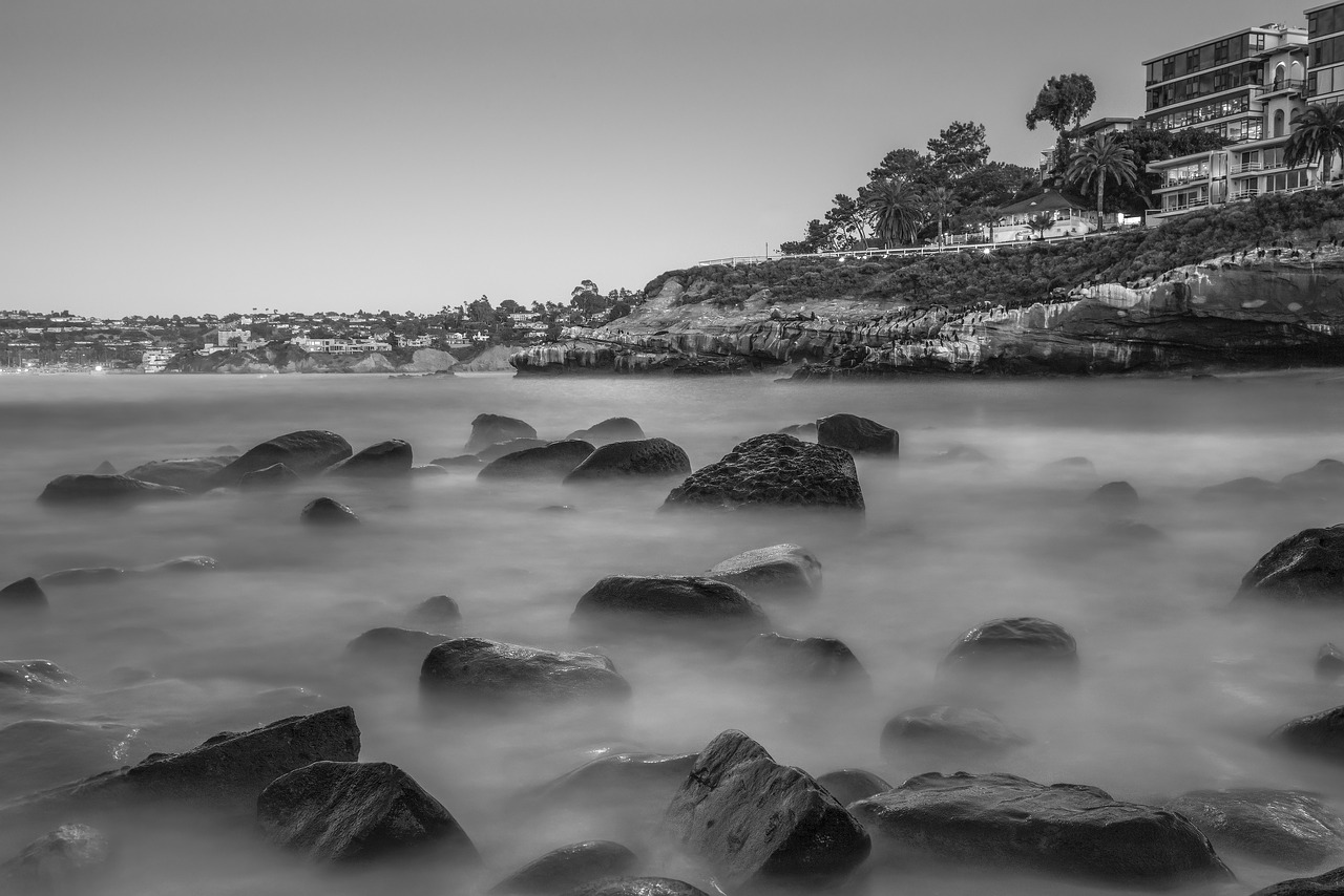 seashore beach water free photo