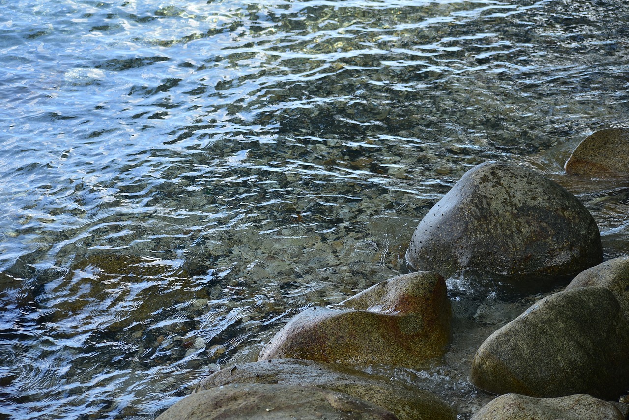 seashore  water  rock free photo