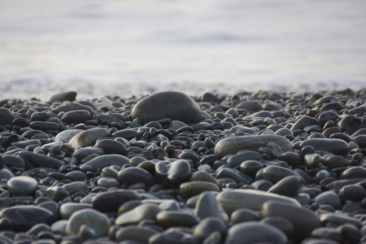 seashore  water  nature free photo