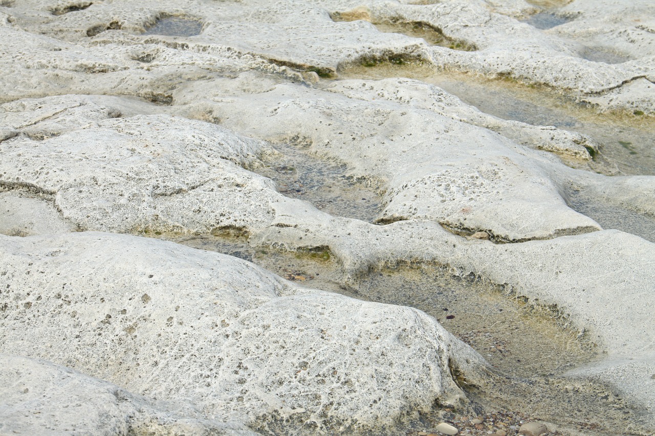 seashore  haifa  israel free photo