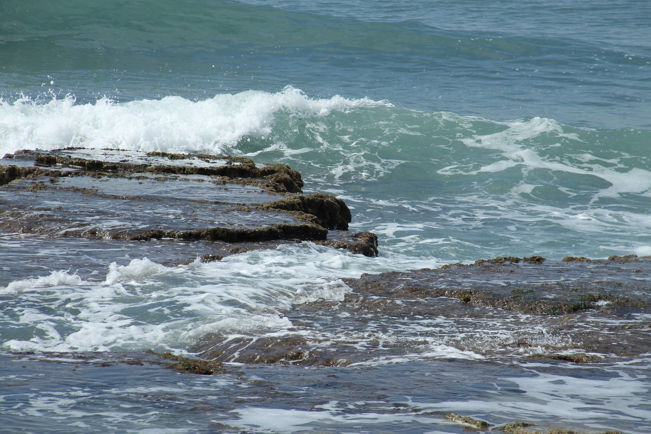 seashore  haifa  israel free photo