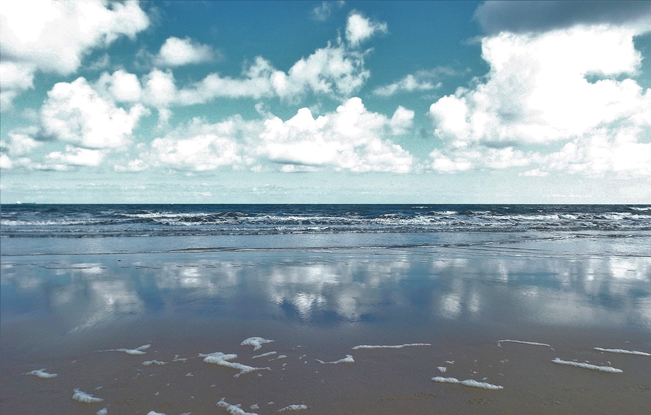 seashore  clouds  ocean free photo