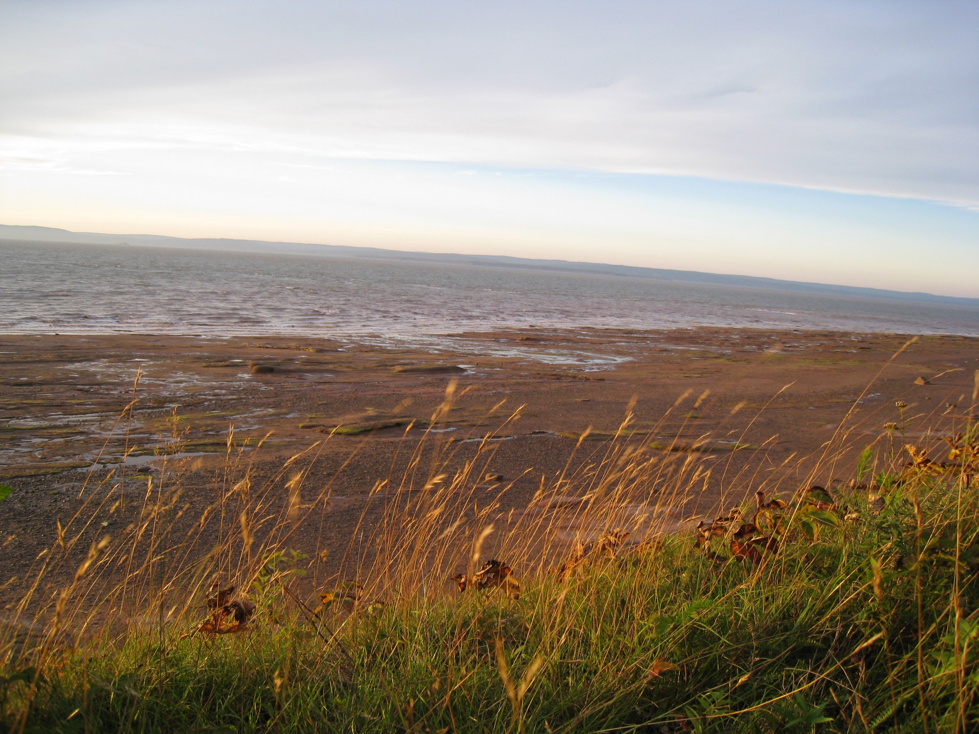 seashore nature nova scotia canada free photo