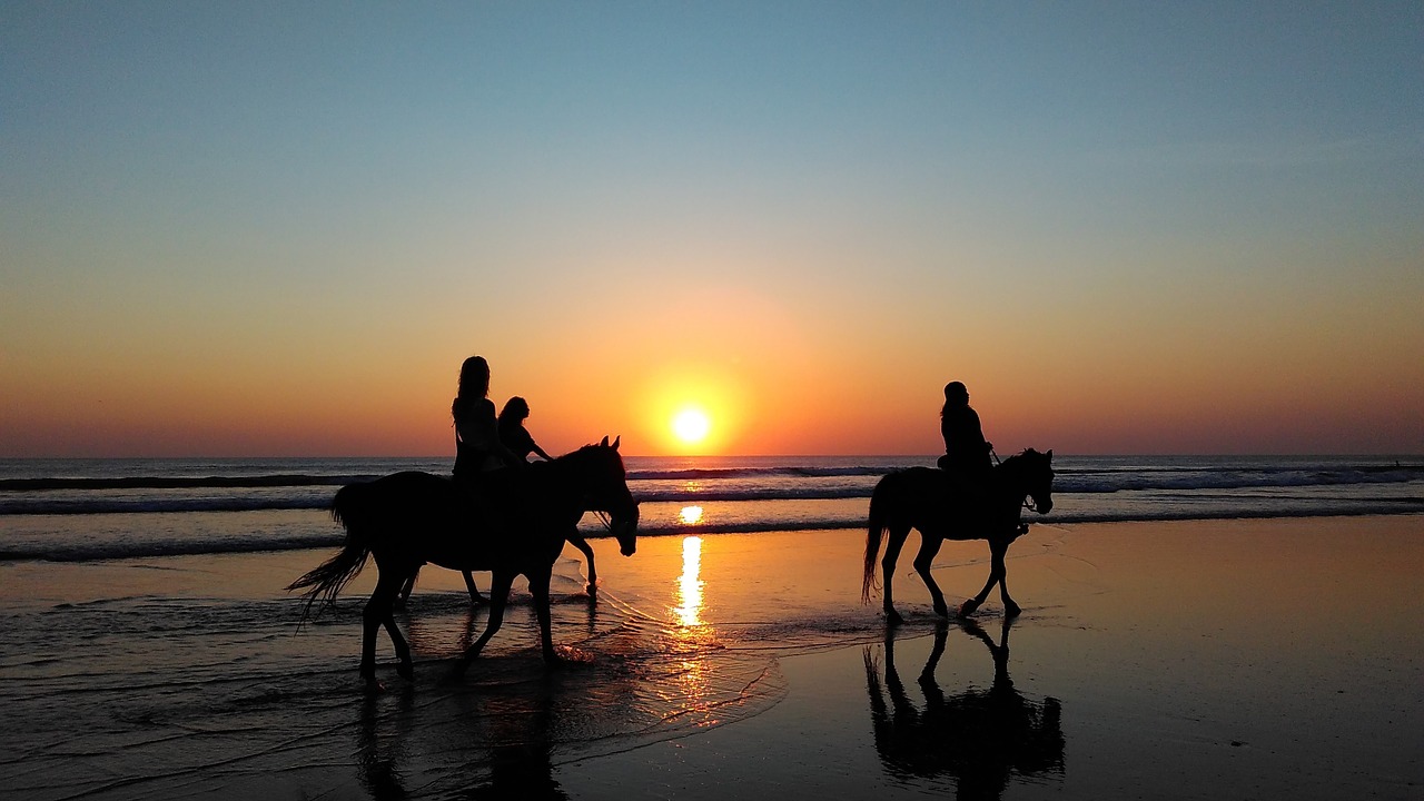 seaside beach sundown free photo