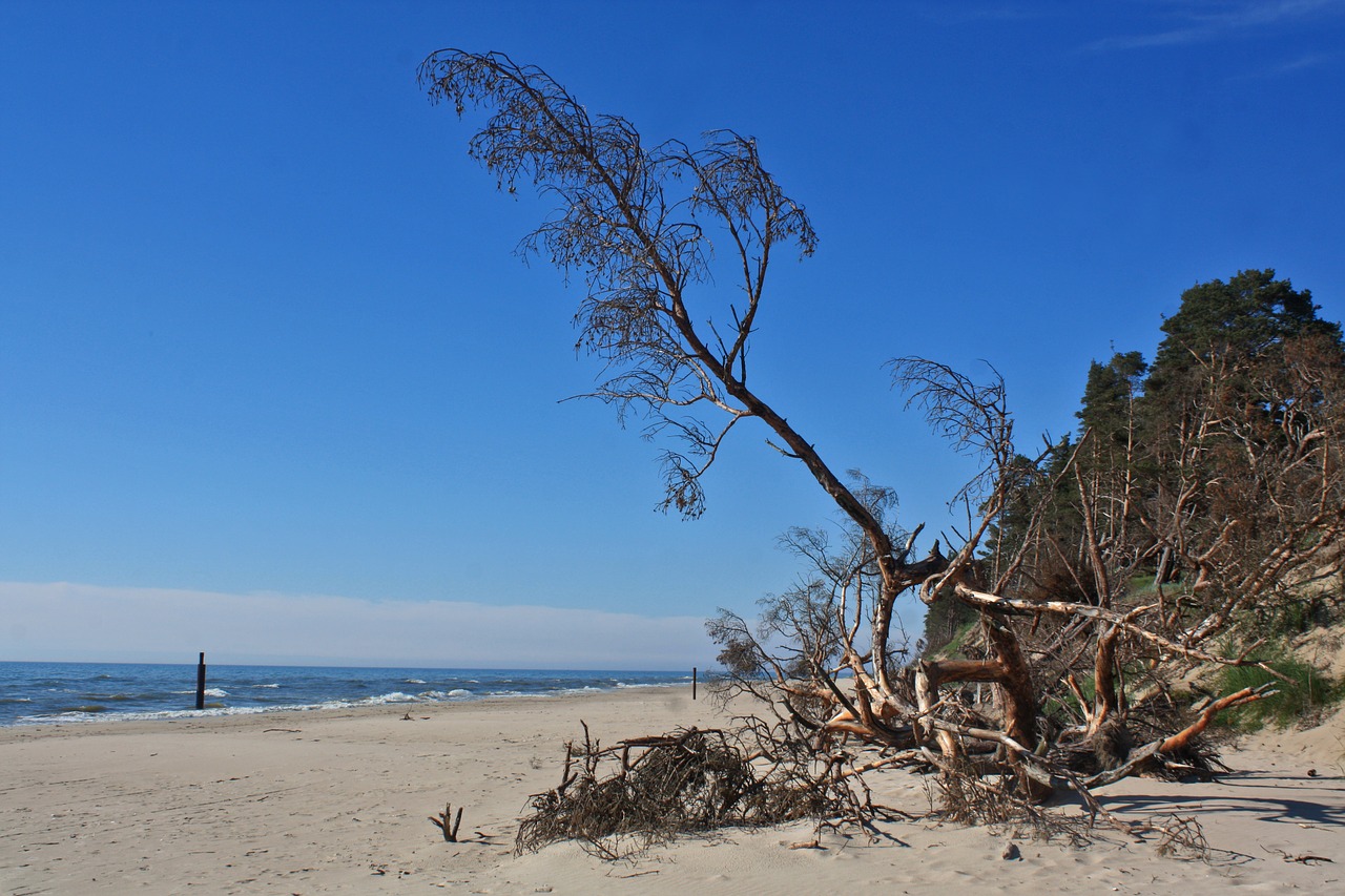 seaside sea beach free photo