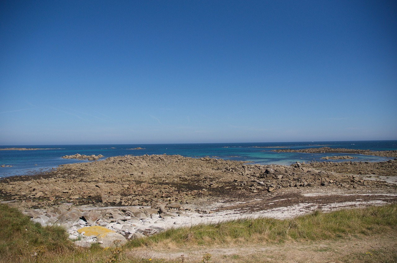 seaside beach sandy beach free photo