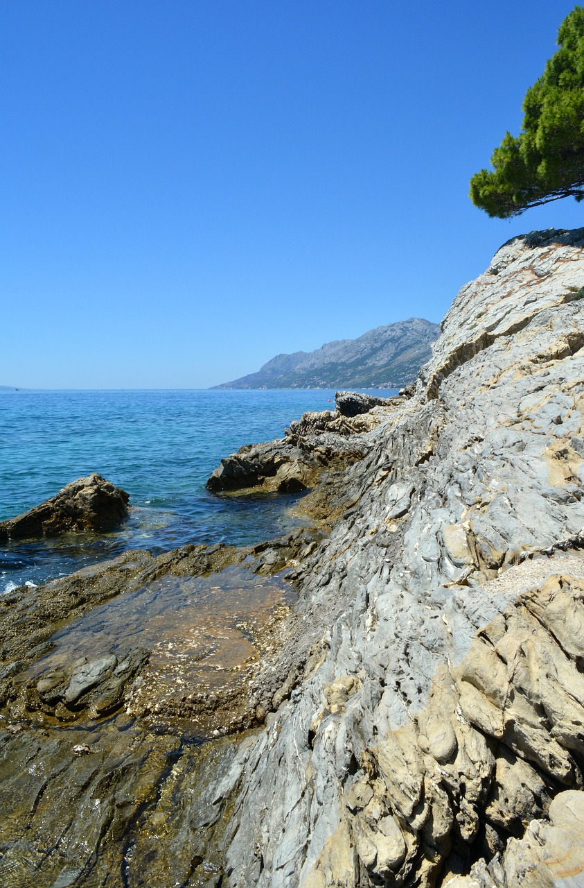 seaside  sea  rocks free photo