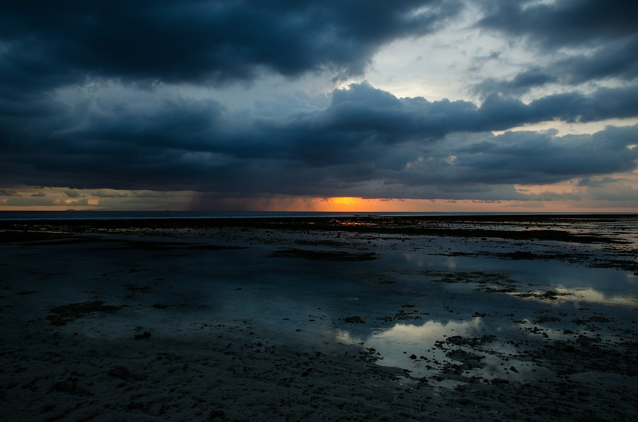 seaside shore coast free photo