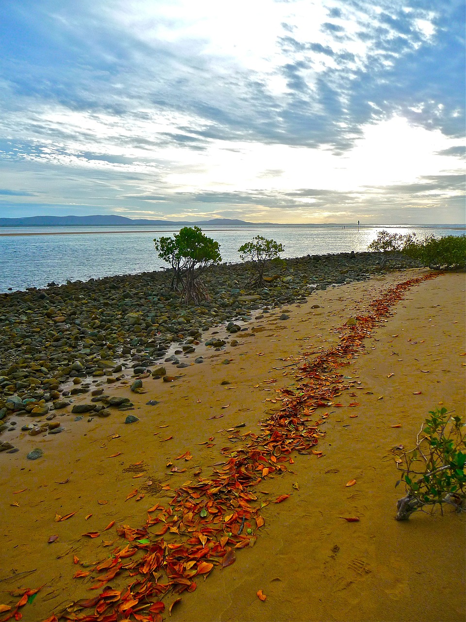 seaside seashore coastline free photo