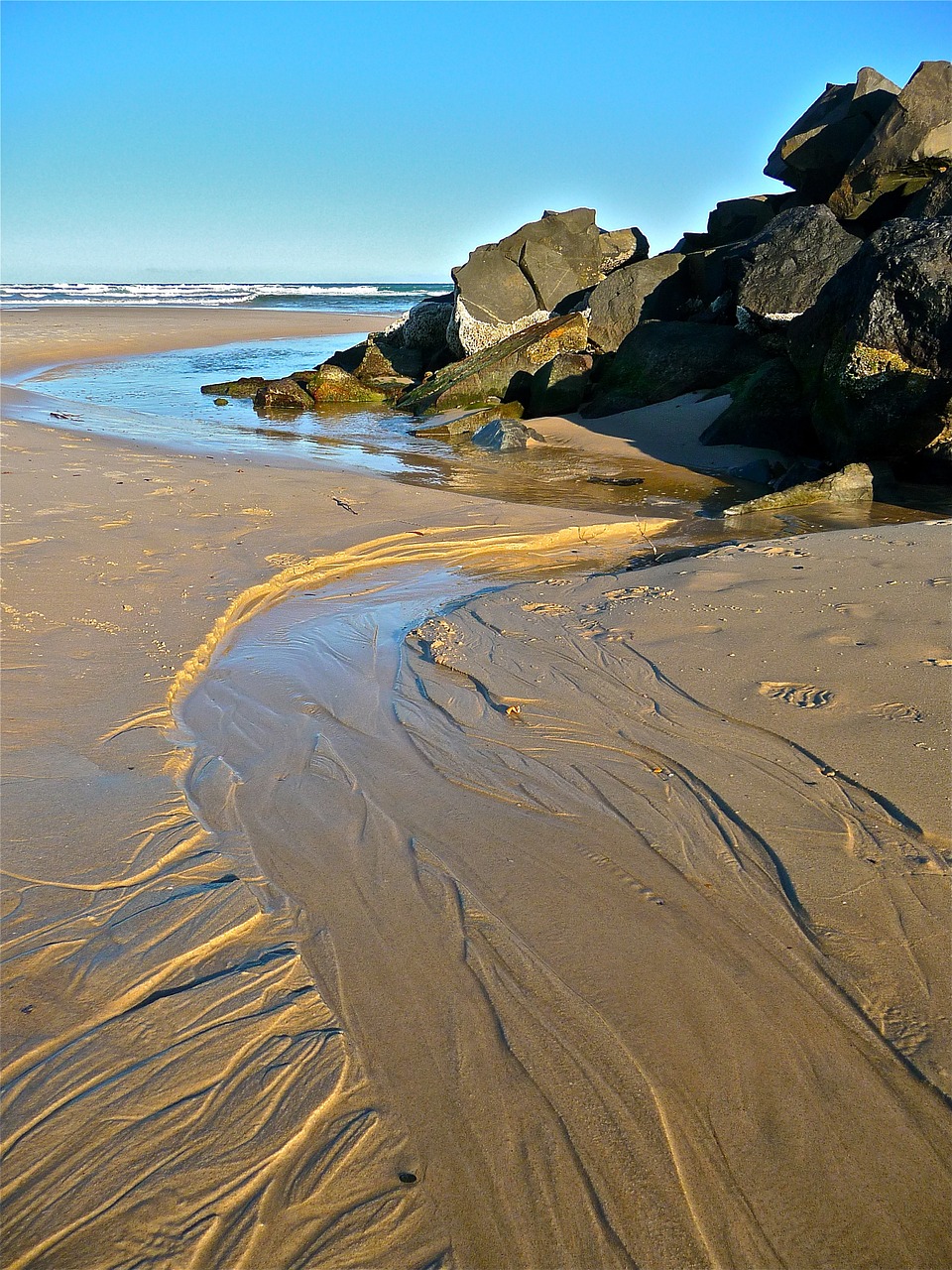 seaside sand rocks free photo