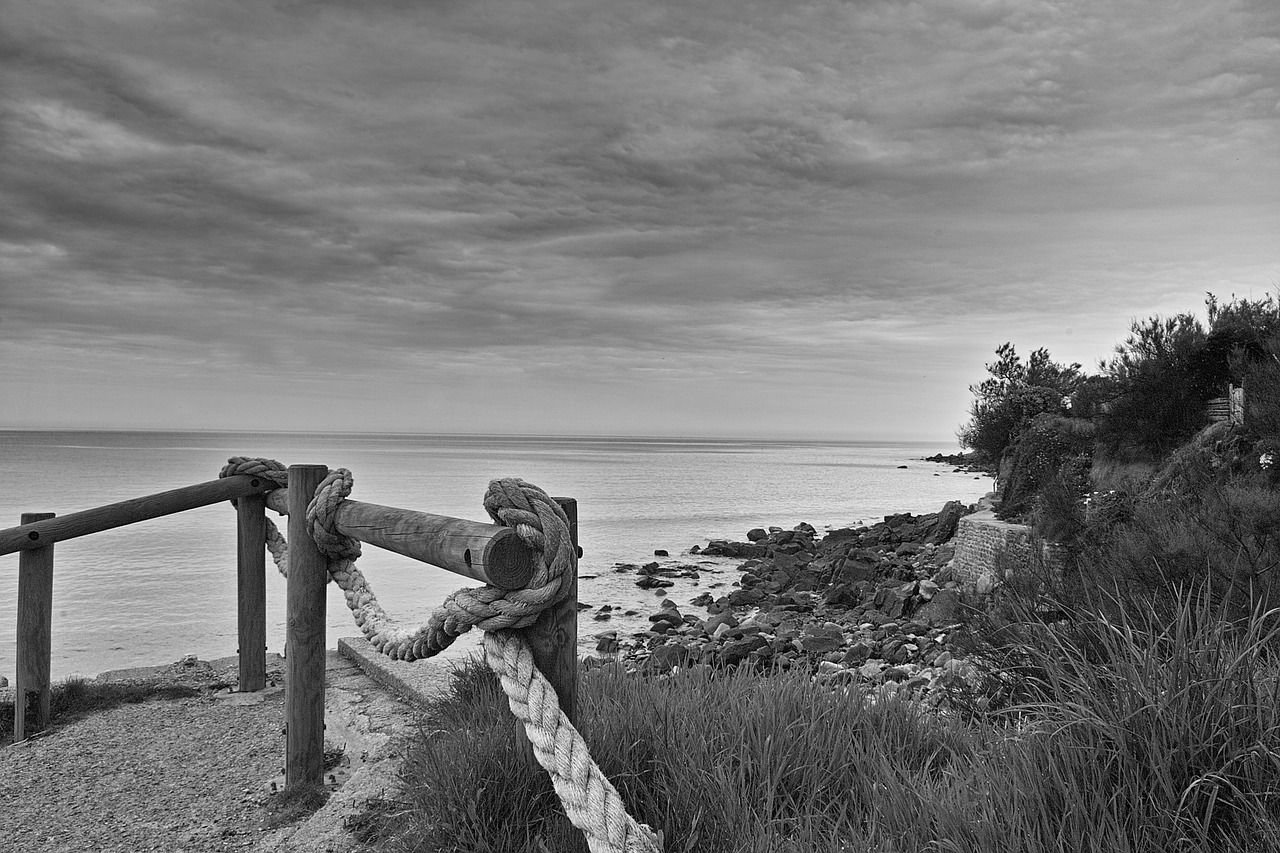 seaside rock sand free photo